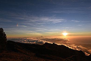 Steam喜加一：免费领取《战锤：末世鼠疫2》